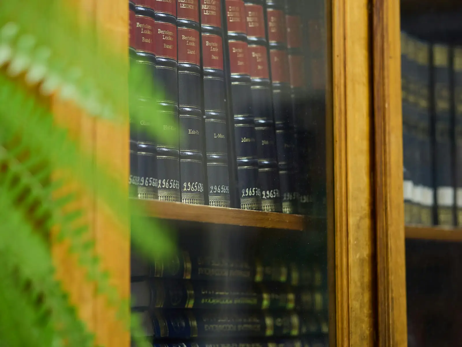Estantes de biblioteca com obras de referência